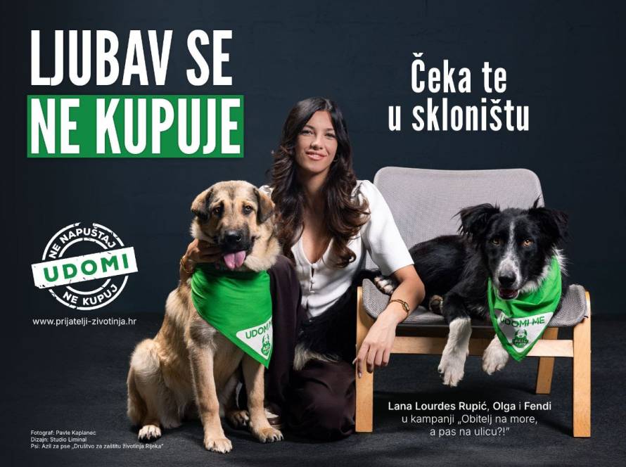 Ljubav se ne kupuje. Čeka te u skloništu